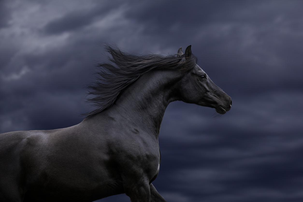 Coming Famine Prophetic Word | Vision of Black Horse