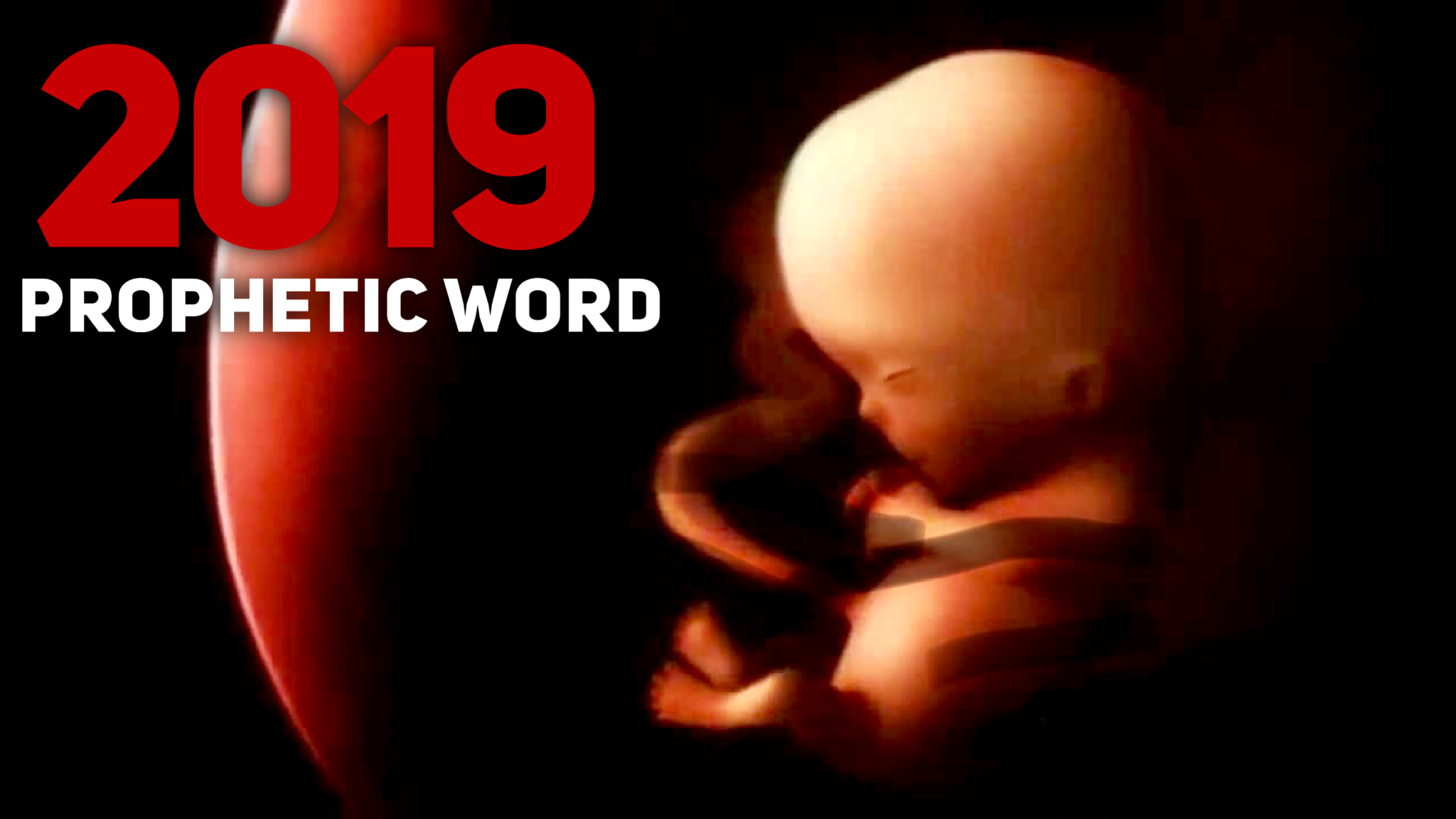 2019 Prophetic Word